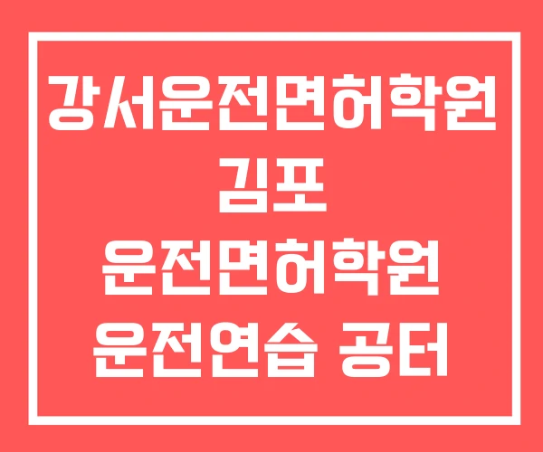 강서운전면허학원 김포 운전면허학원 운전연습 공터