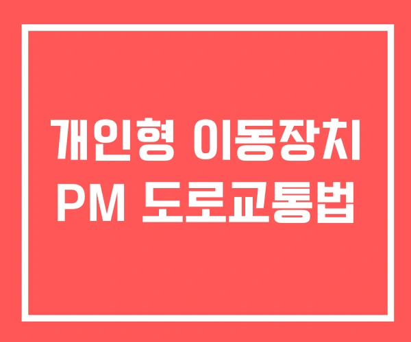 개인형 이동장치 PM 도로교통법
