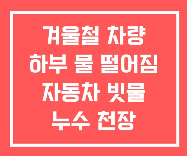 겨울철 차량 하부 물 떨어짐 자동차 빗물 누수 천장 겨울철 차량 하부 물 떨어짐 자동차 빗물 누수 천장
