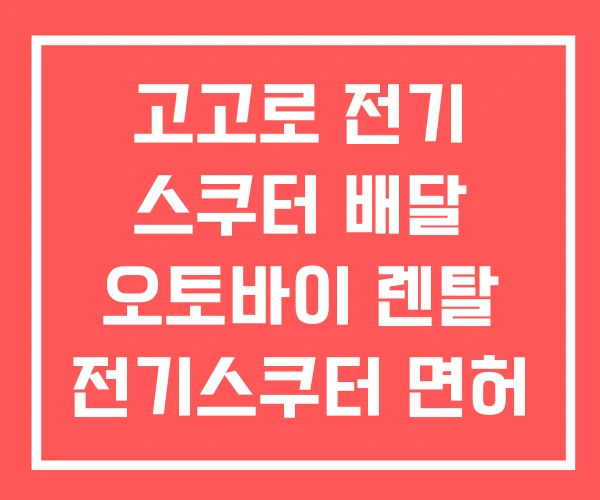 고고로 전기 스쿠터 배달 오토바이 렌탈 전기스쿠터 면허 고고로 전기 스쿠터 배달 오토바이 렌탈 전기스쿠터 면허