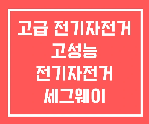 고급 전기자전거 고성능 전기자전거 세그웨이 고급 전기자전거 고성능 전기자전거 세그웨이