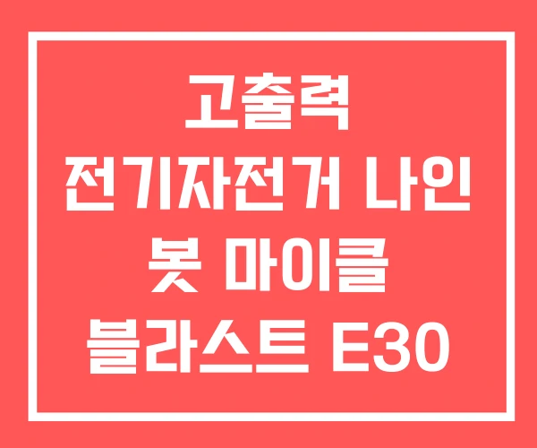 고출력 전기자전거 나인 봇 마이클 블라스트 E30