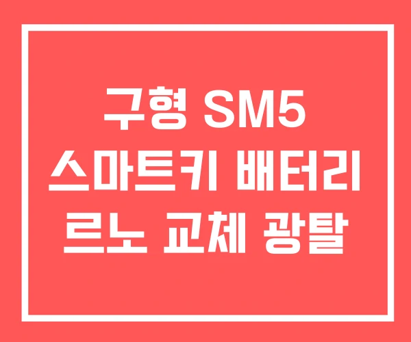 구형 SM5 스마트키 배터리 르노 교체 광탈