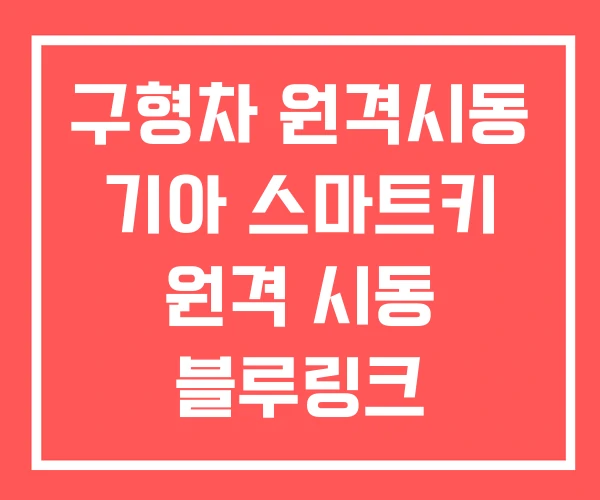 구형차 원격시동 기아 스마트키 원격 시동 블루링크