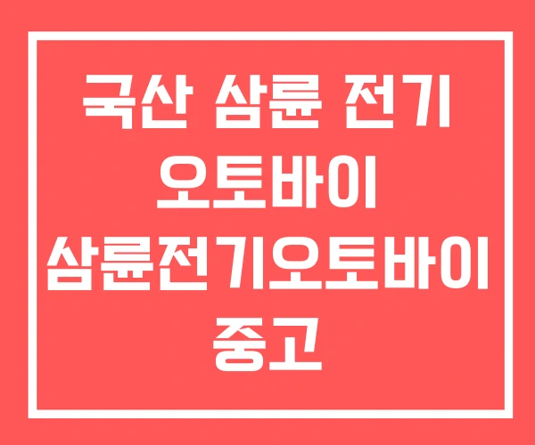 국산 삼륜 전기 오토바이 삼륜전기오토바이 중고