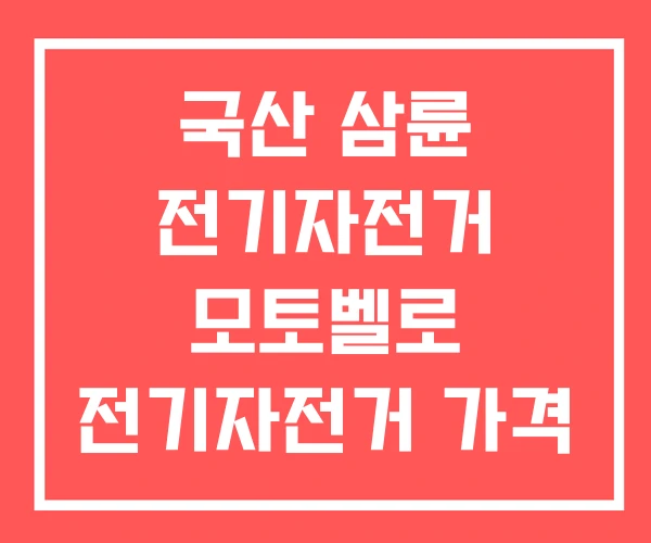 국산 삼륜 전기자전거 모토벨로 전기자전거 가격