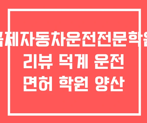 국제자동차운전전문학원 리뷰 덕계 운전 면허 학원 양산