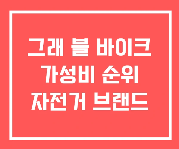 그래 블 바이크 가성비 순위 자전거 브랜드