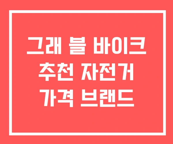 그래 블 바이크 추천 자전거 가격 브랜드