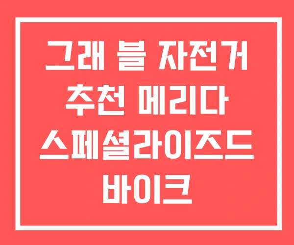 그래 블 자전거 추천 메리다 스페셜라이즈드 바이크 그래 블 자전거 추천 메리다 스페셜라이즈드 바이크