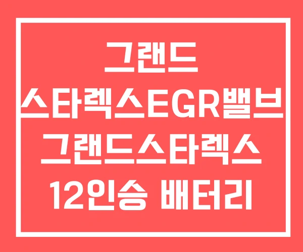 그랜드 스타렉스EGR밸브 그랜드스타렉스 12인승 배터리