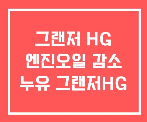 그랜저 HG 엔진오일 감소 누유 그랜저HG
