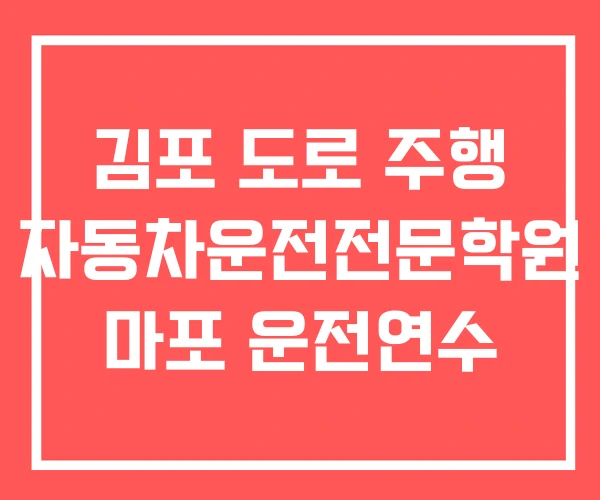 김포 도로 주행 자동차운전전문학원 마포 운전연수