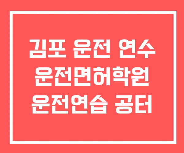 김포 운전 연수 운전면허학원 운전연습 공터