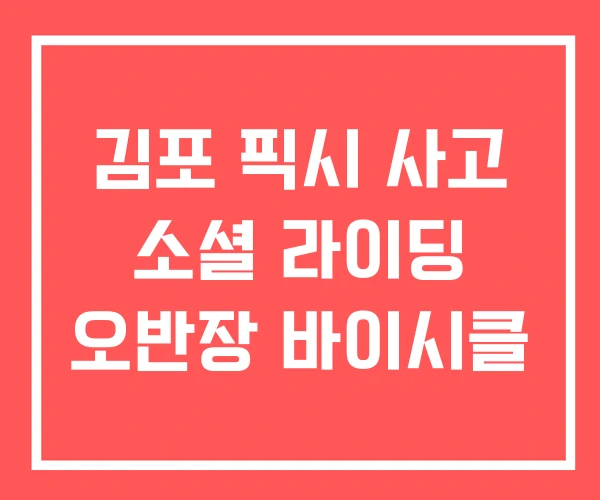 김포 픽시 사고 소셜 라이딩 오반장 바이시클
