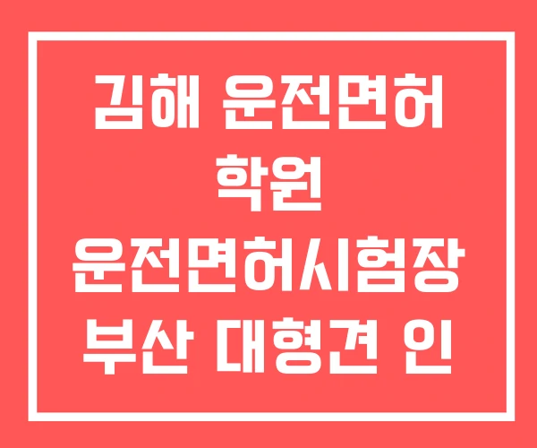 김해 운전면허 학원 운전면허시험장 부산 대형견 인