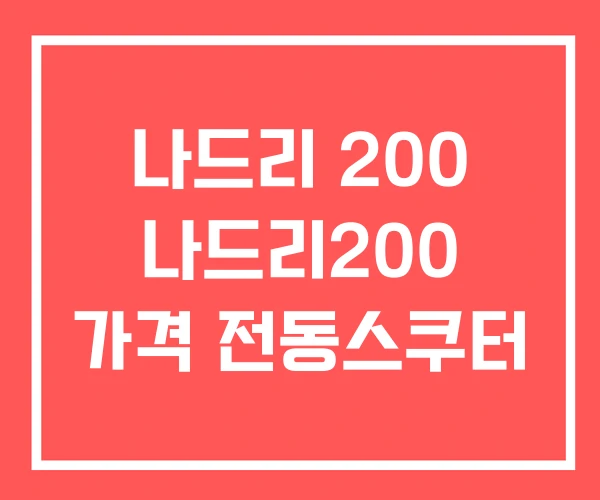 나드리 200 나드리200 가격 전동스쿠터 나드리 200 나드리200 가격 전동스쿠터