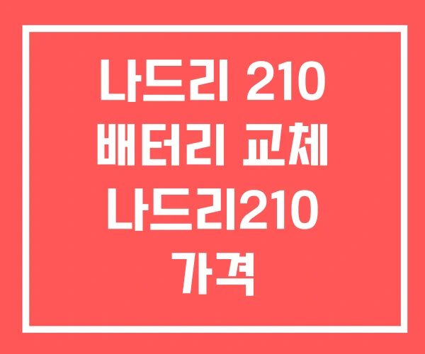 나드리 210 배터리 교체 나드리210 가격