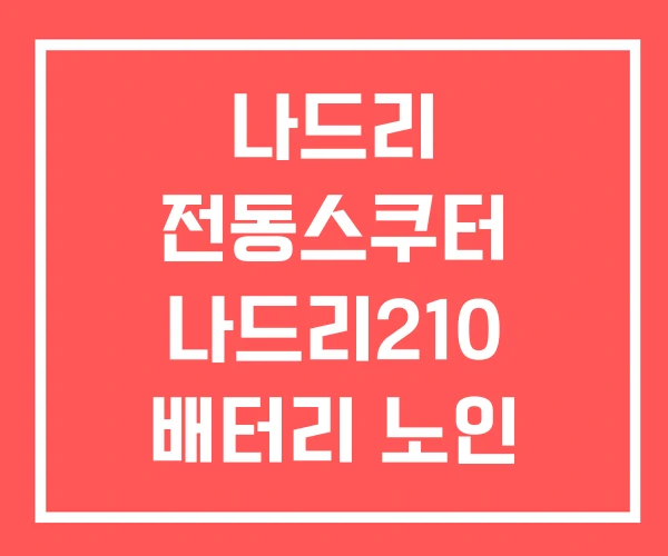 나드리 전동스쿠터 나드리210 배터리 노인 보조금 나드리 전동스쿠터 나드리210 배터리 노인 보조금