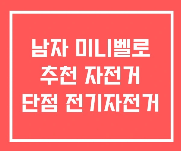 남자 미니벨로 추천 자전거 단점 전기자전거