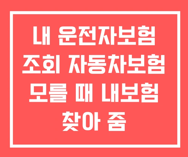 내 운전자보험 조회 자동차보험 모를 때 내보험 찾아 줌 내 운전자보험 조회 자동차보험 모를 때 내보험 찾아 줌