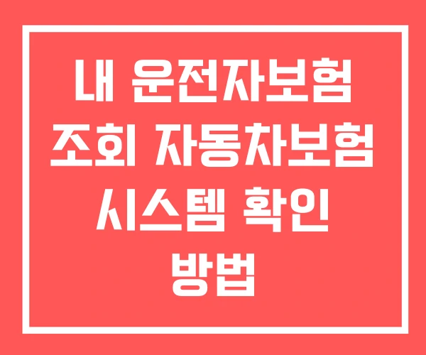 내 운전자보험 조회 자동차보험 시스템 확인 방법