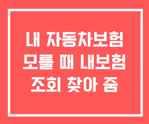 내 자동차보험 모를 때 내보험 조회 찾아 줌 내 자동차보험 모를 때 내보험 조회 찾아 줌