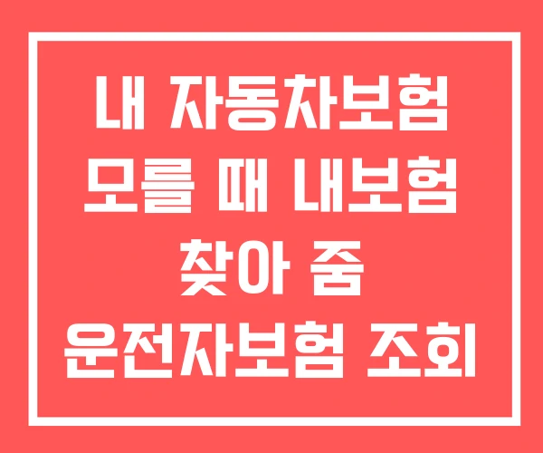 내 자동차보험 모를 때 내보험 찾아 줌 운전자보험 조회 내 자동차보험 모를 때 내보험 찾아 줌 운전자보험 조회