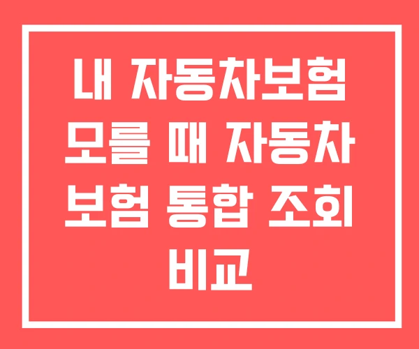 내 자동차보험 모를 때 자동차 보험 통합 조회 비교