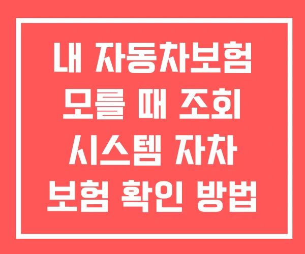 내 자동차보험 모를 때 조회 시스템 자차 보험 확인 방법