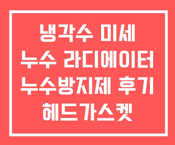 냉각수 미세 누수 라디에이터 누수방지제 후기 헤드가스켓
