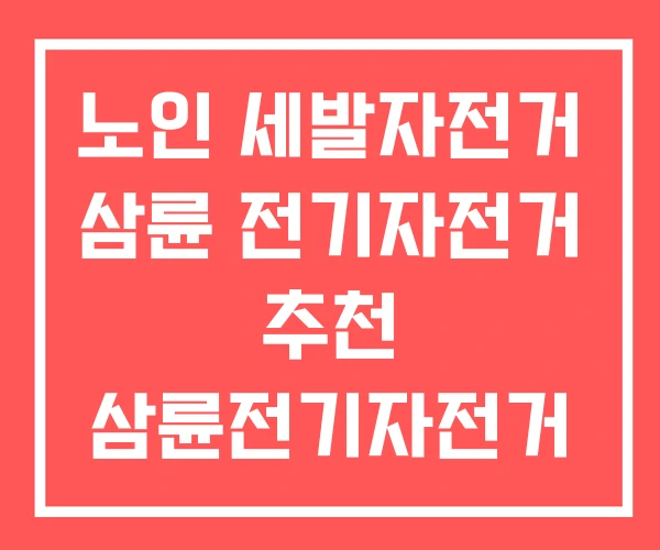노인 세발자전거 삼륜 전기자전거 추천 삼륜전기자전거 가격