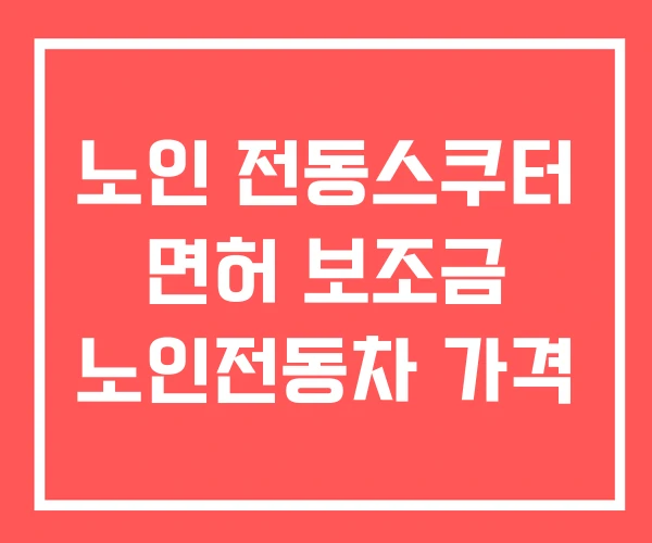 노인 전동스쿠터 면허 보조금 노인전동차 가격 노인 전동스쿠터 면허 보조금 노인전동차 가격