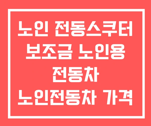 노인 전동스쿠터 보조금 노인용 전동차 노인전동차 가격 노인 전동스쿠터 보조금 노인용 전동차 노인전동차 가격