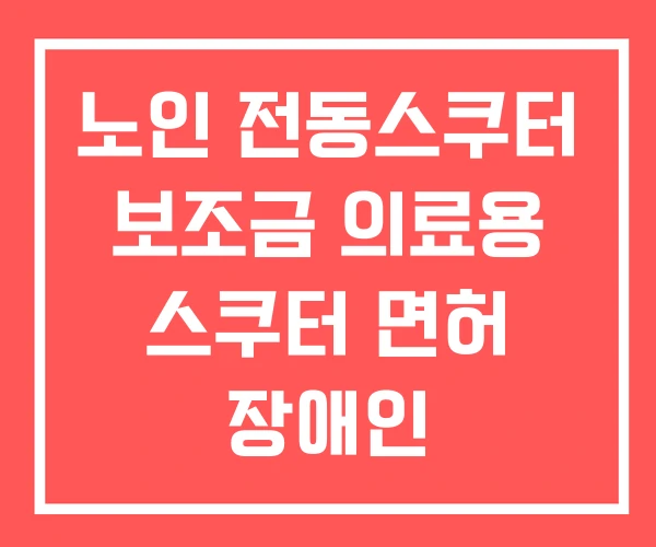 노인 전동스쿠터 보조금 의료용 스쿠터 면허 장애인