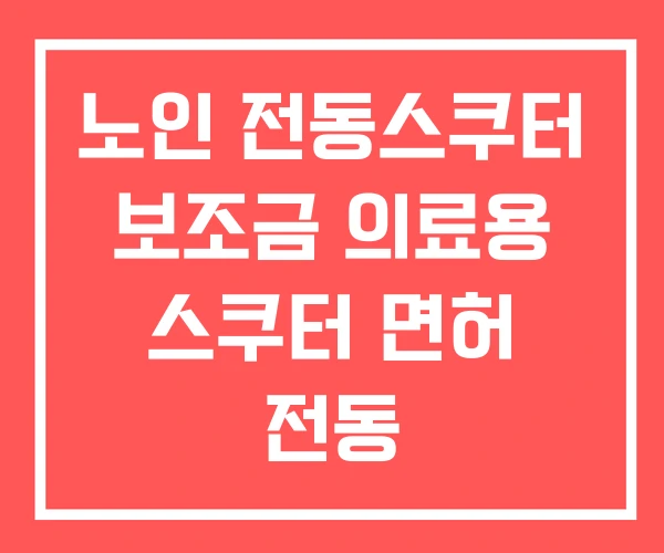 노인 전동스쿠터 보조금 의료용 스쿠터 면허 전동