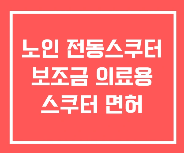 노인 전동스쿠터 보조금 의료용 스쿠터 면허