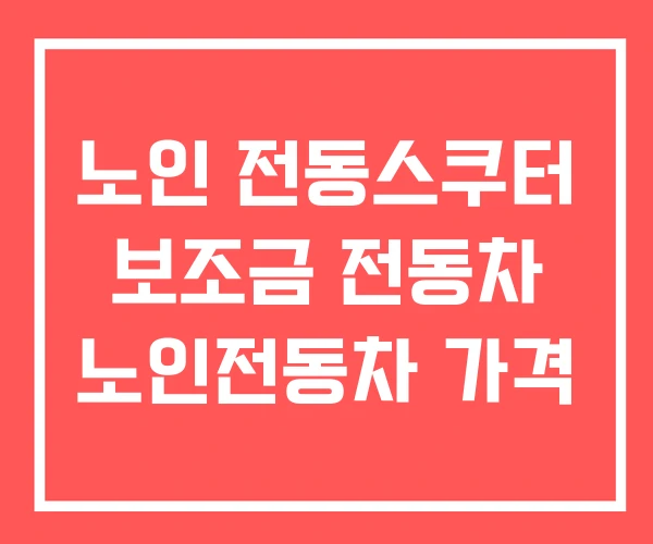 노인 전동스쿠터 보조금 전동차 노인전동차 가격