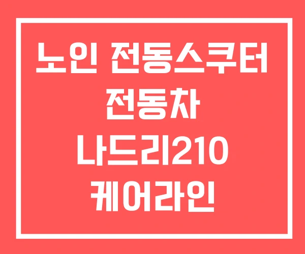 노인 전동스쿠터 전동차 나드리210 케어라인
