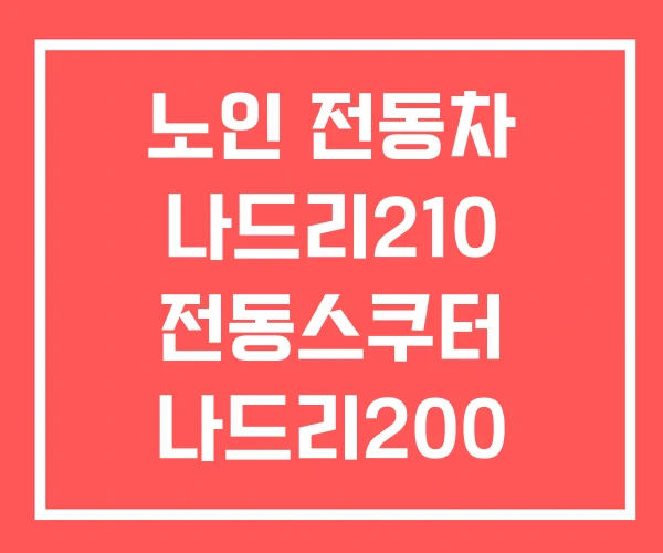 노인 전동차 나드리210 전동스쿠터 나드리200