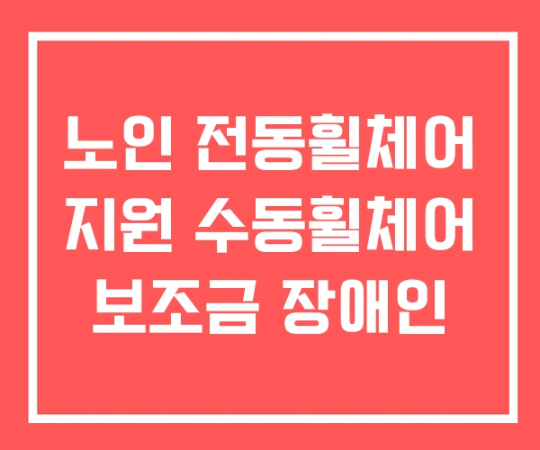 노인 전동휠체어 지원 수동휠체어 보조금 장애인