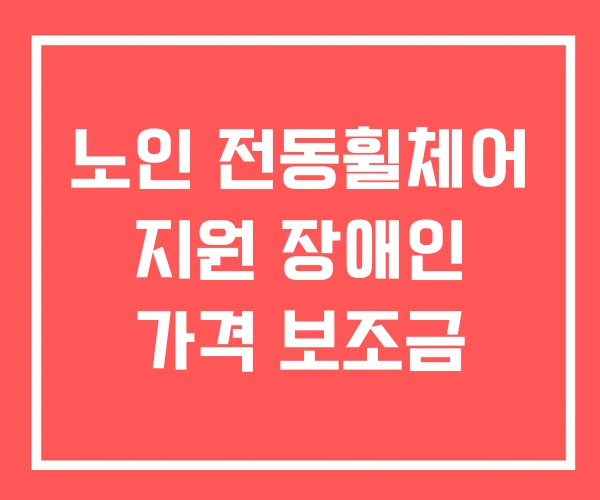 노인 전동휠체어 지원 장애인 가격 보조금