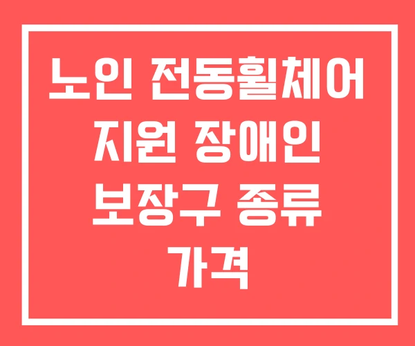 노인 전동휠체어 지원 장애인 보장구 종류 가격