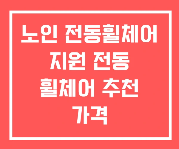 노인 전동휠체어 지원 전동 휠체어 추천 가격 노인 전동휠체어 지원 전동 휠체어 추천 가격