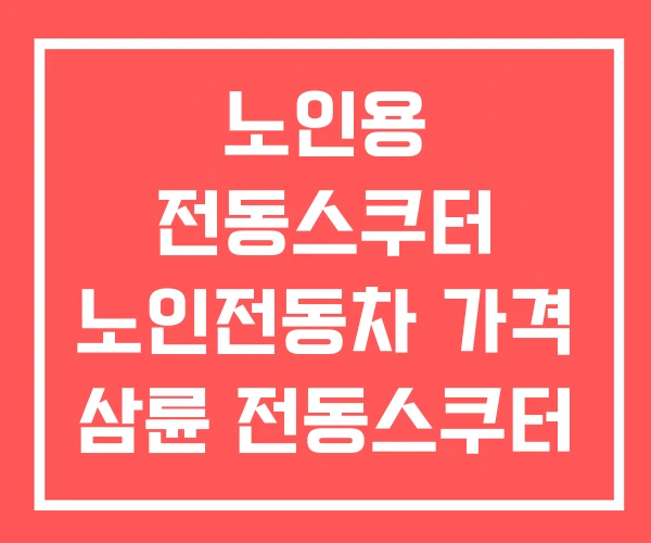 노인용 전동스쿠터 노인전동차 가격 삼륜 전동스쿠터
