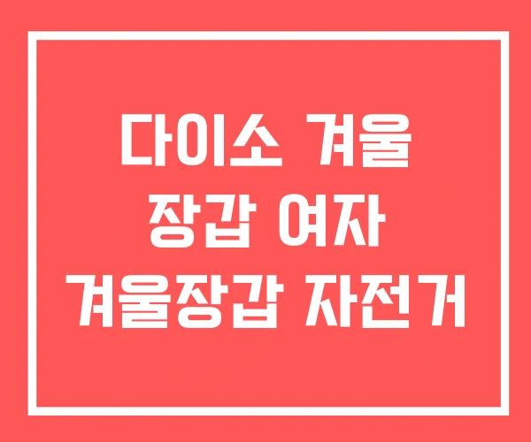 다이소 겨울 장갑 여자 겨울장갑 자전거