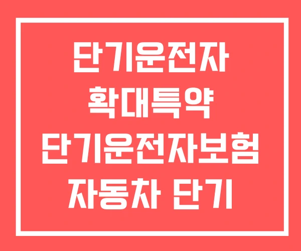 단기운전자 확대특약 단기운전자보험 자동차 단기 보험 가격