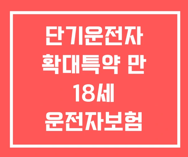 단기운전자 확대특약 만 18세 운전자보험 자동차 보험료