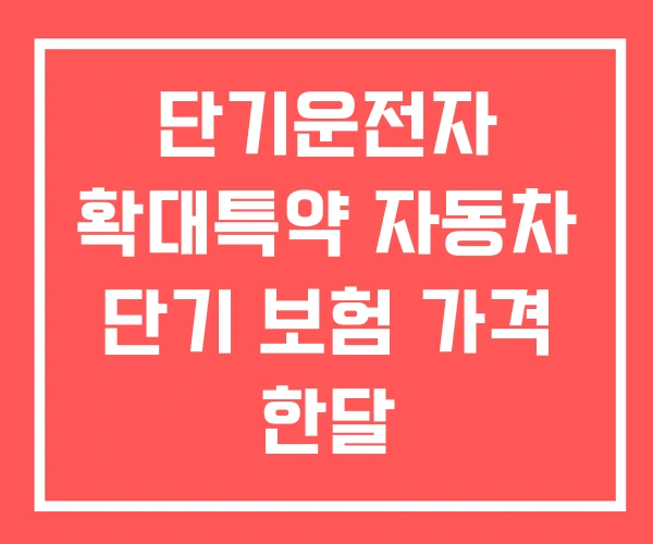 단기운전자 확대특약 자동차 단기 보험 가격 한달