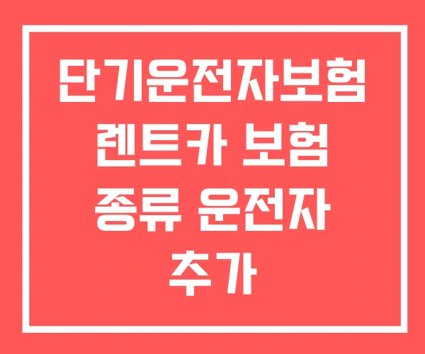 단기운전자보험 렌트카 보험 종류 운전자 추가